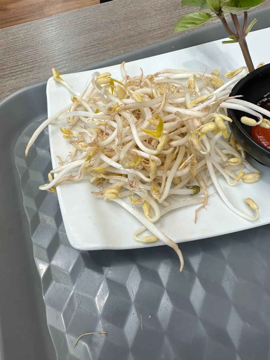 Highlights, MCQ Vietnamese Street Food