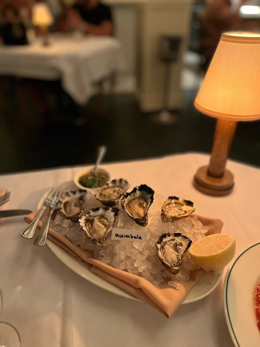Oysters