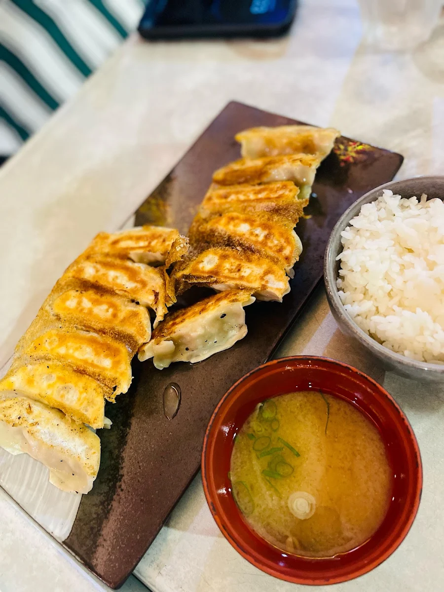 Pork Dumplings Pan Fried