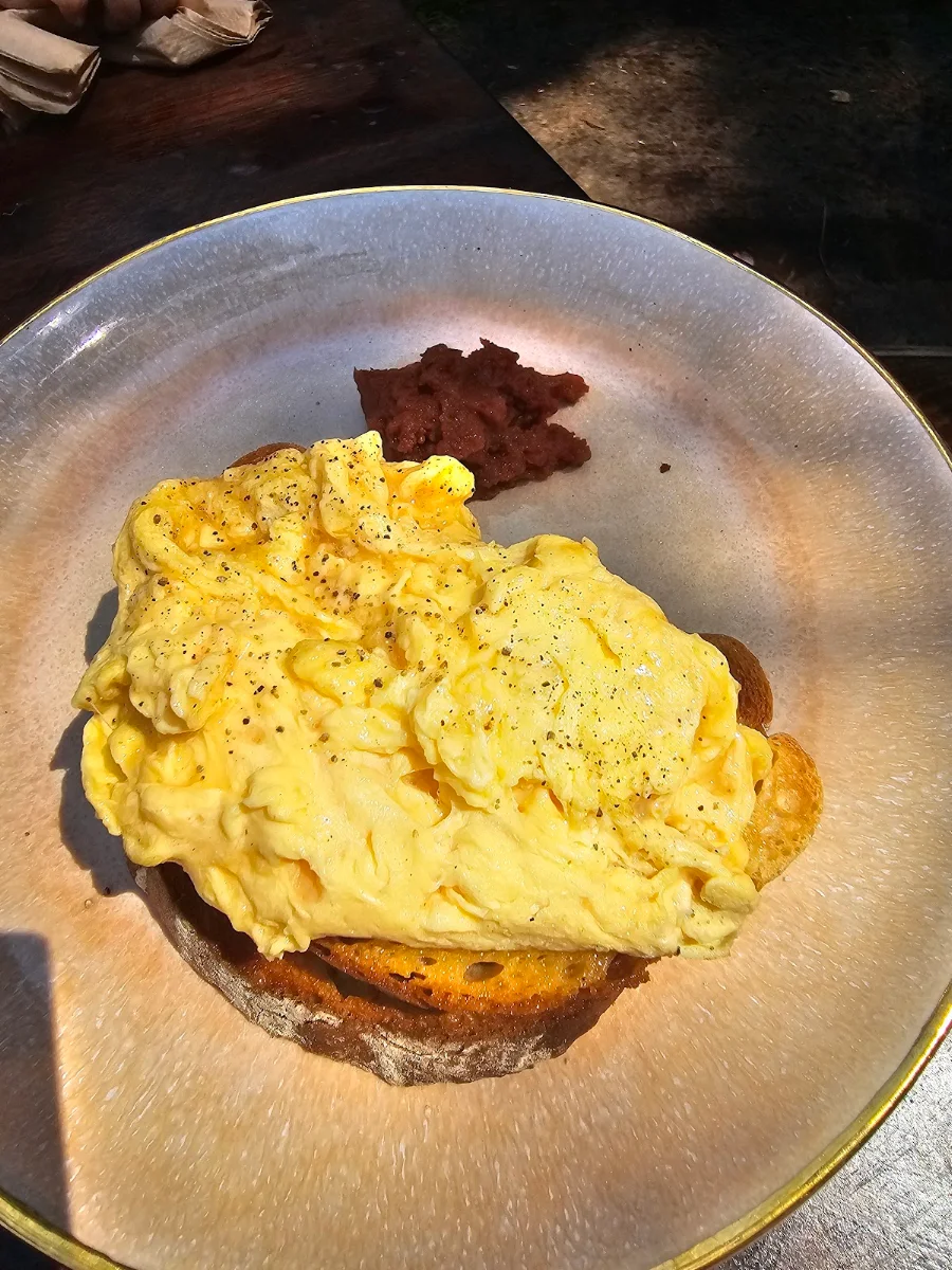 Egg on Toast