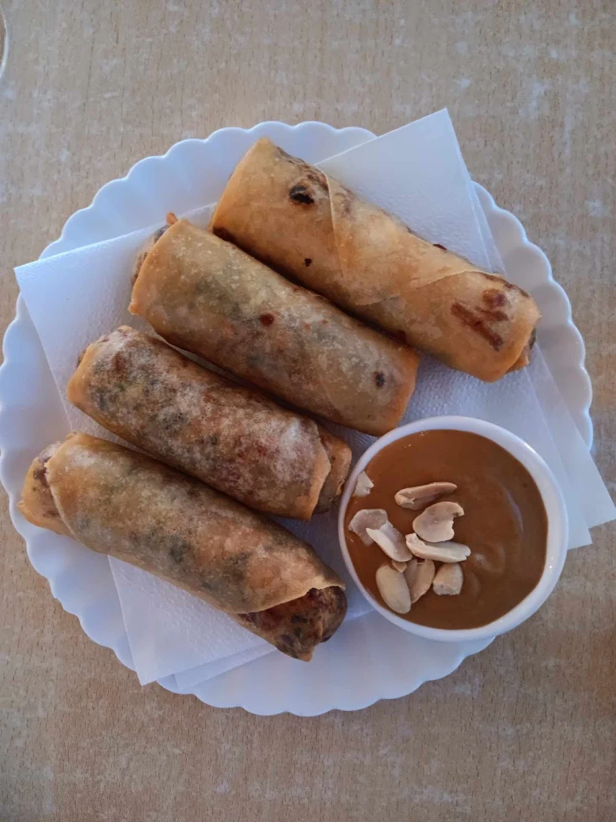Vegetarian Spring Rolls