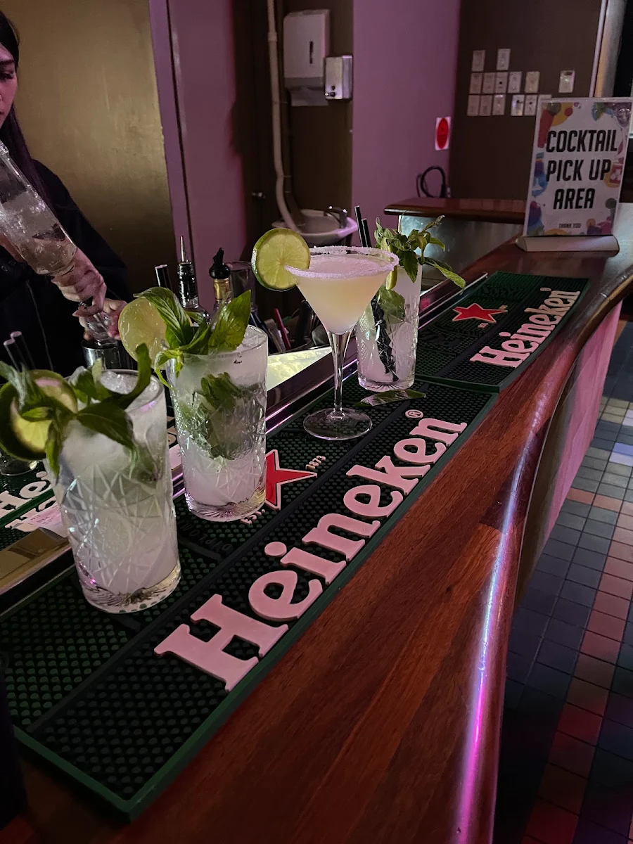 Plant Drink, Shark Hotel