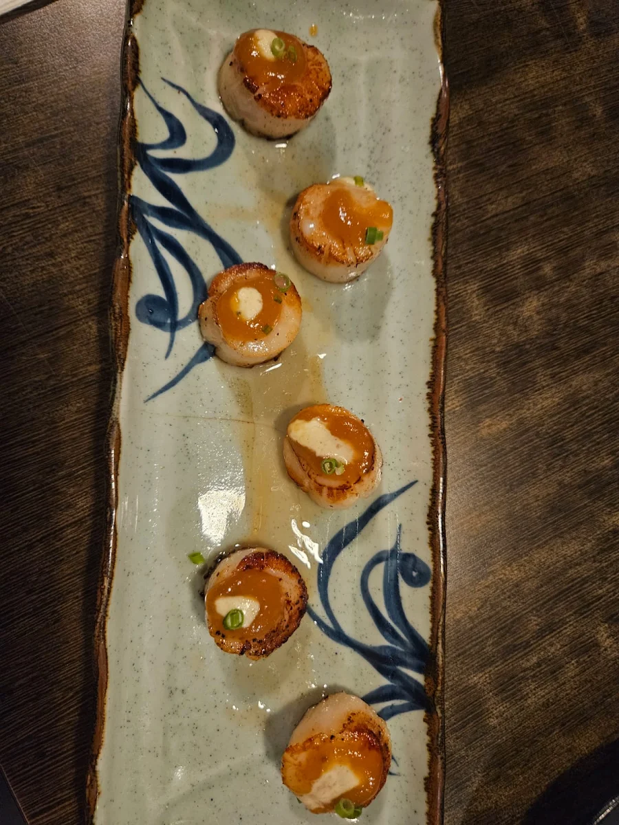 Leek Tosazu Duck Gyoza