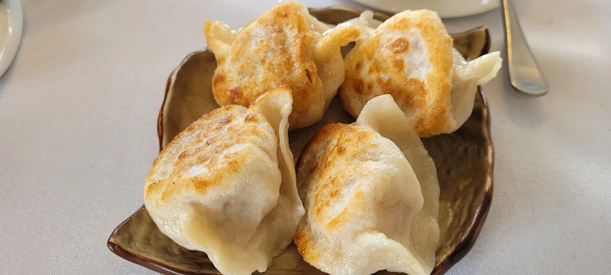 Pan Fried Dumplings