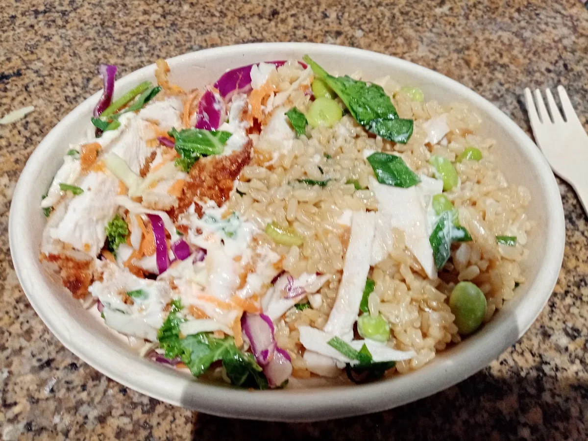 Chicken and Brown Rice and Chicken Coleslaw Salad