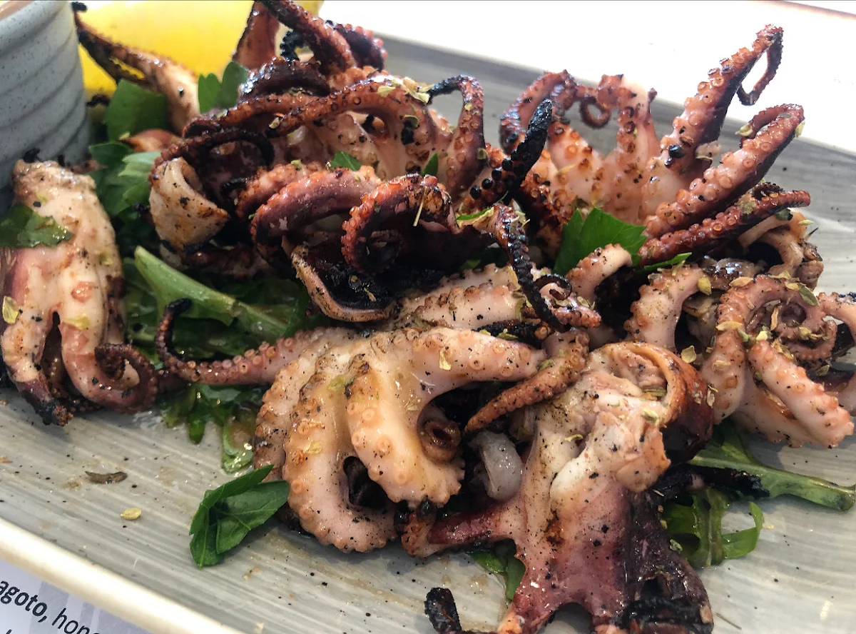 Grilled Octopus