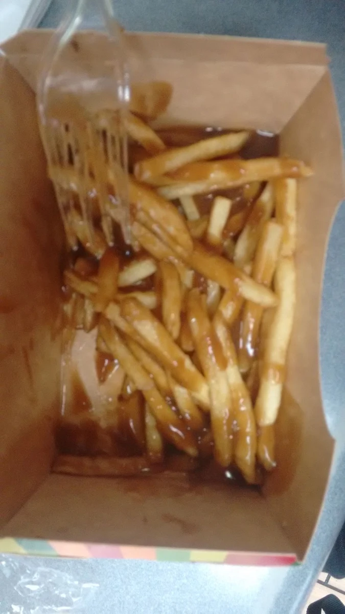 Gravy Loaded French Fries