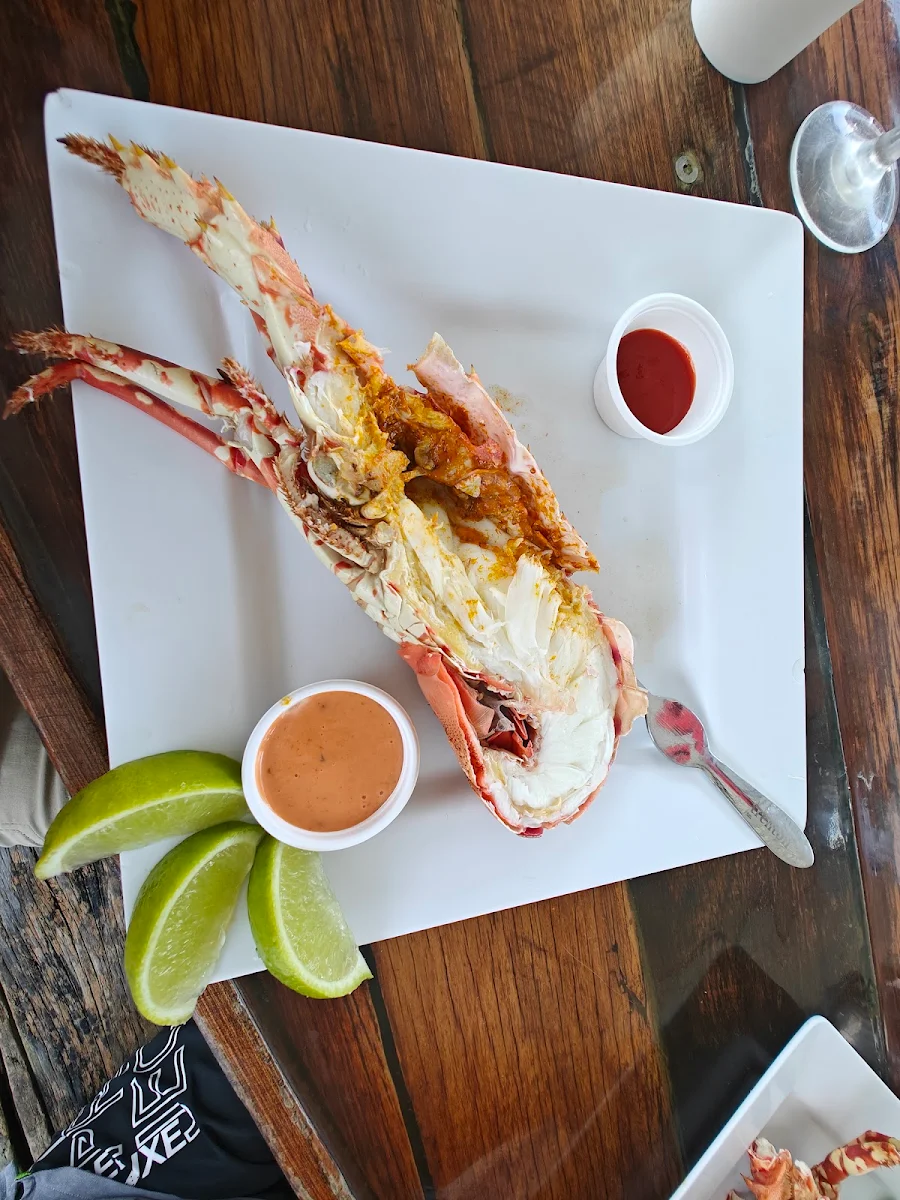 Painted Cray Fish, Prawn Star