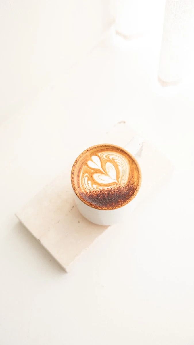 Highlights, Sunroom | Cafe + Store