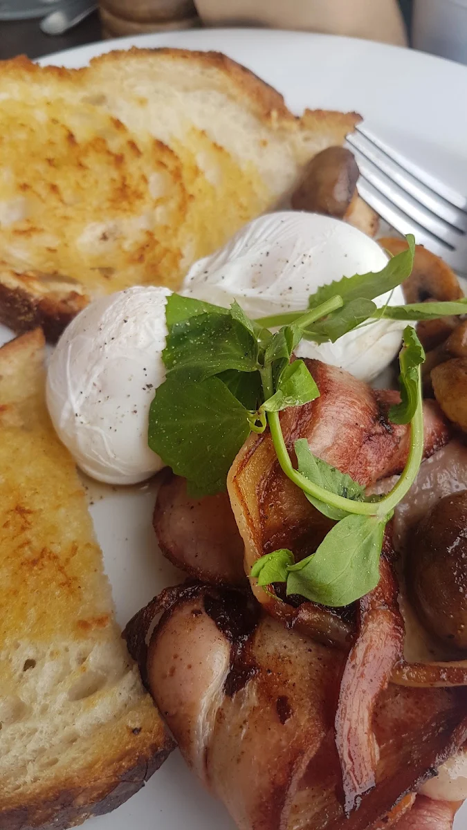 Poached Eggs