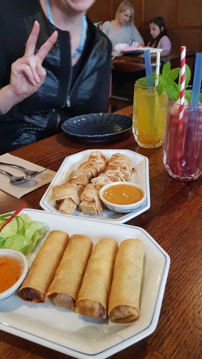 Tofu Rolls and Spring Rolls Vegetarian
