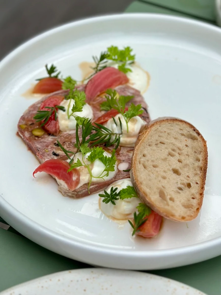 Highlights, Sardine CANTINA