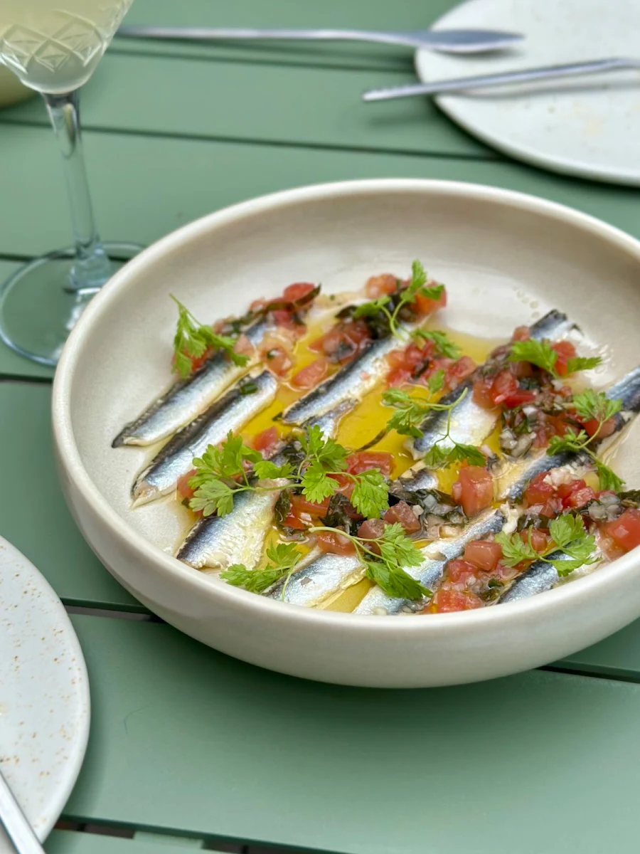 Highlights, Sardine CANTINA