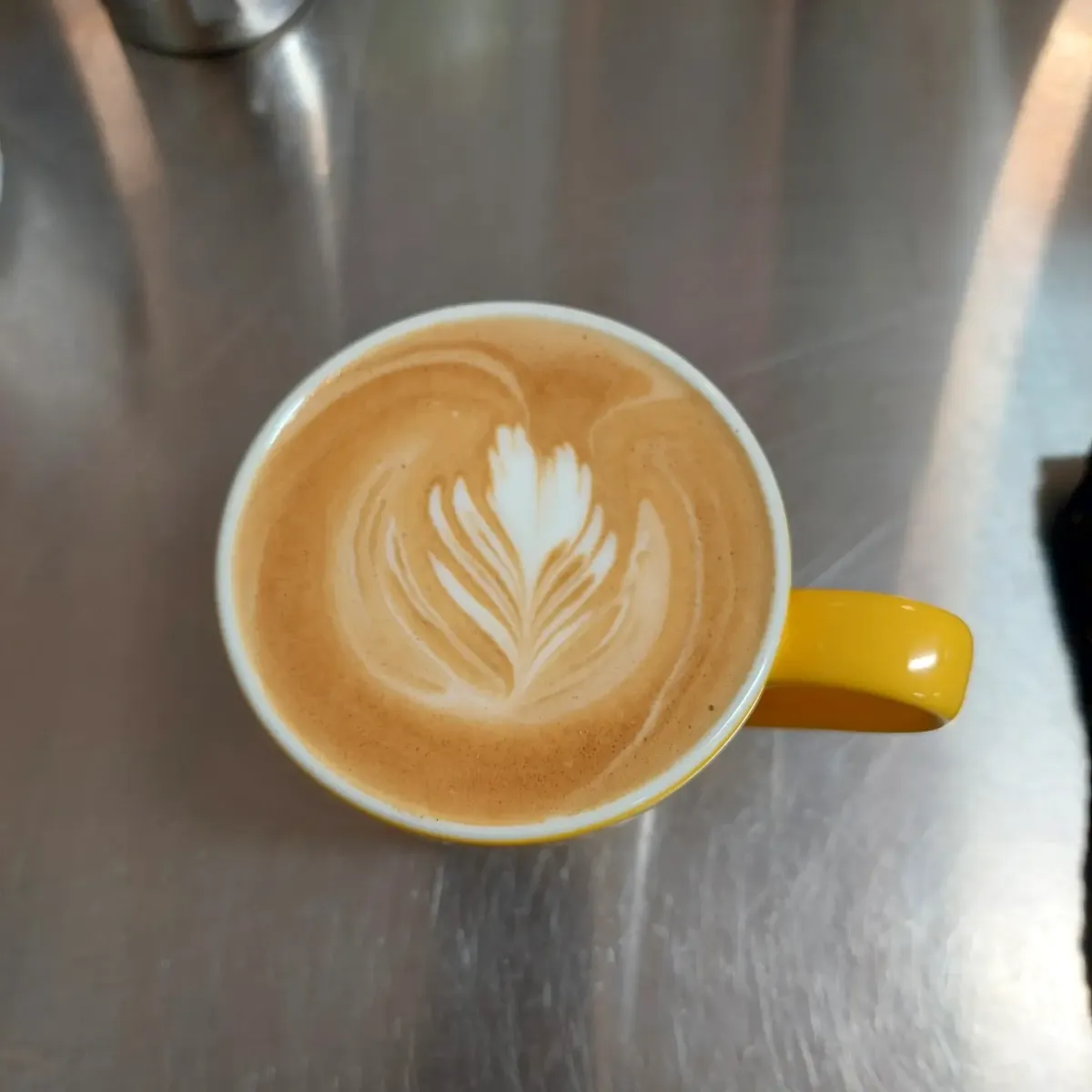 Highlights, Grace Cafe
