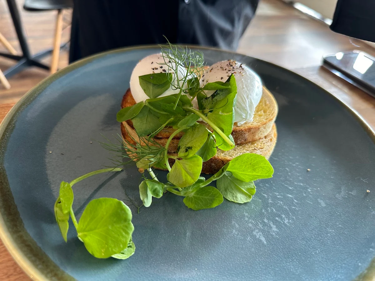 Eggs on Toast