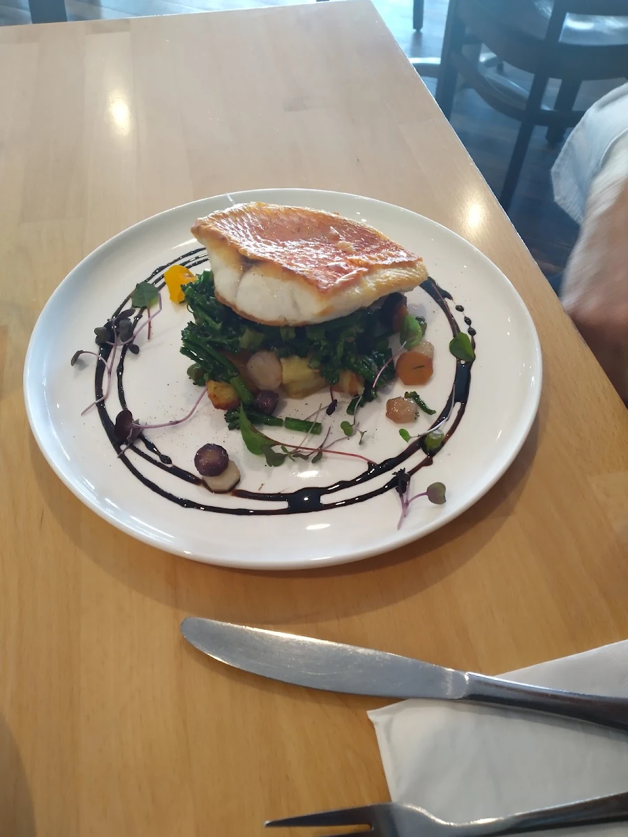 Snapper, La Baracca Espresso Bar & Trattoria