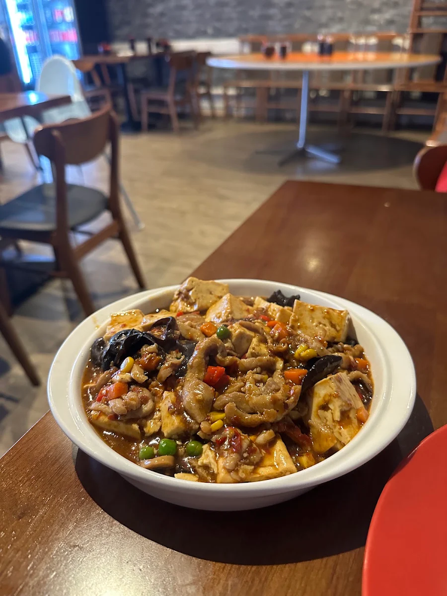 Mapo Tofu, Yang Yang Noodle & Dumpling