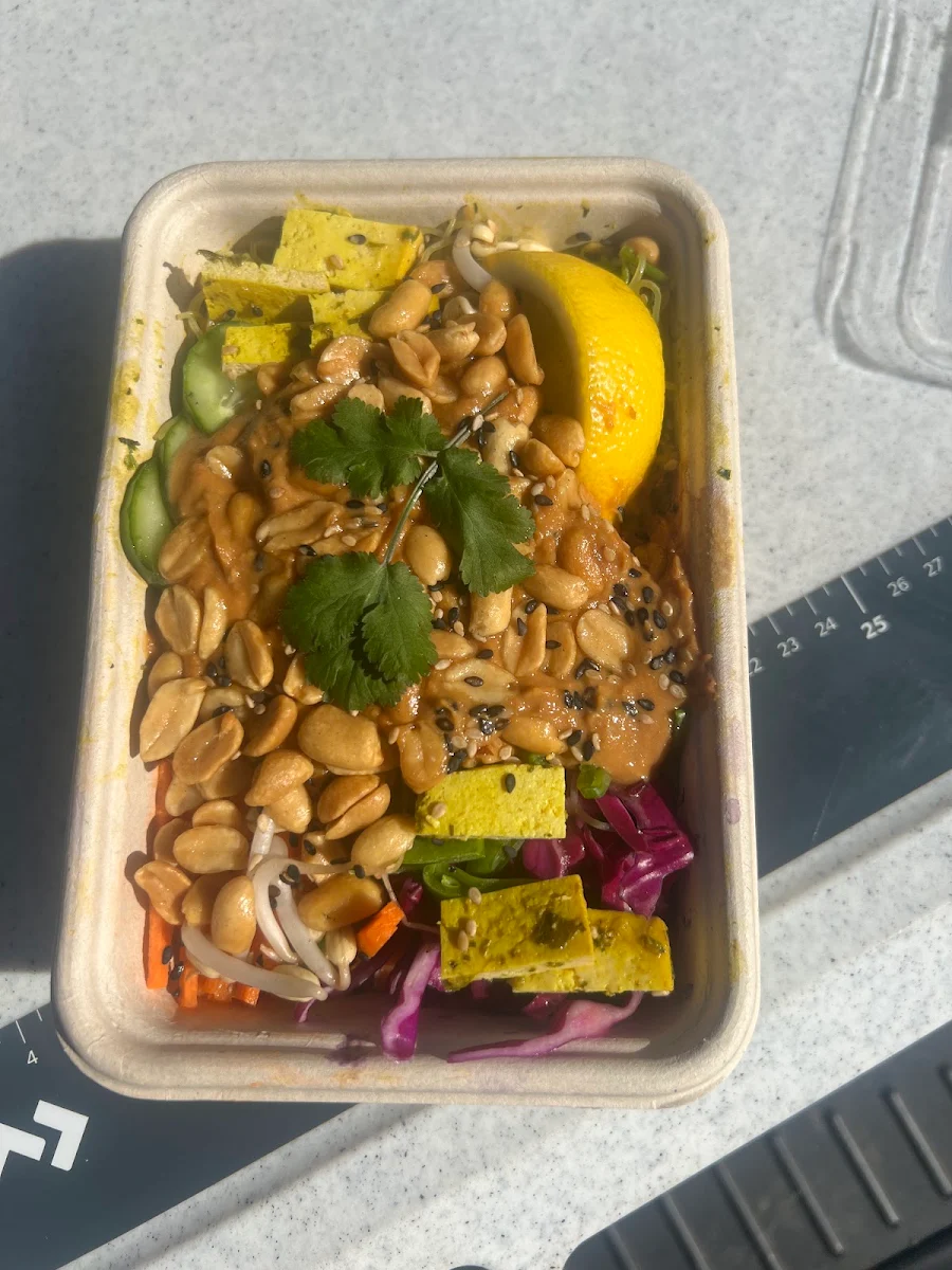 Salad Bowl
