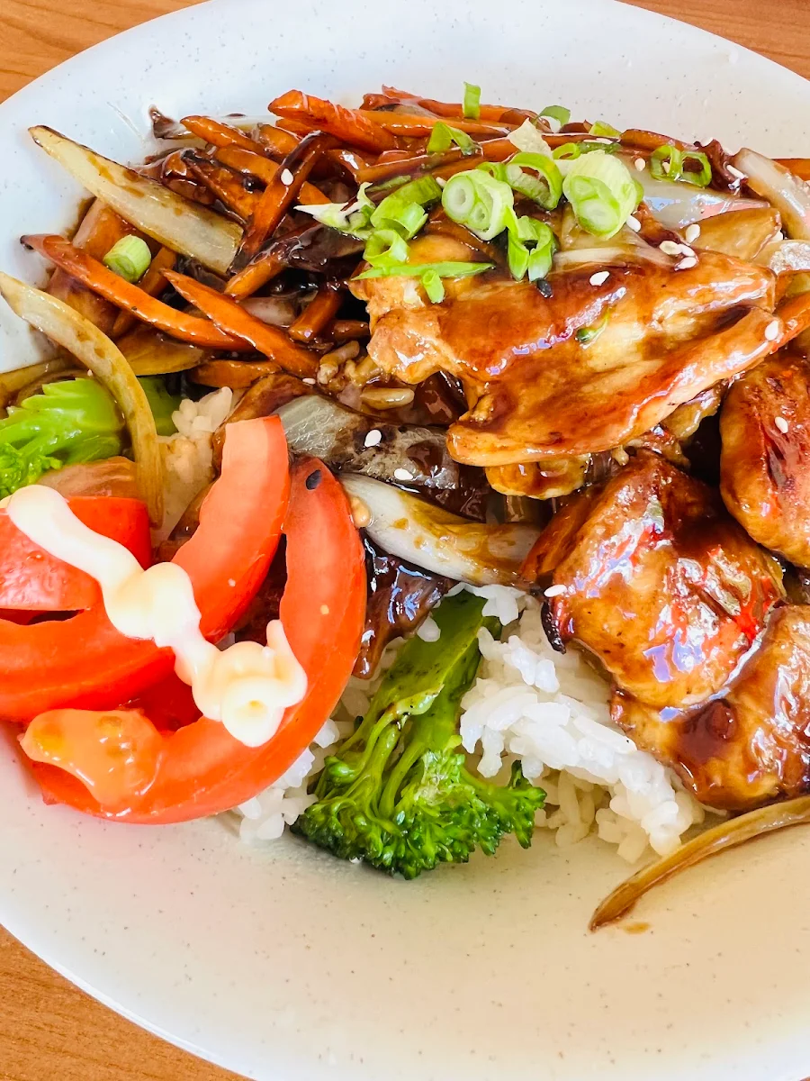 Teriyaki Chicken with Rice