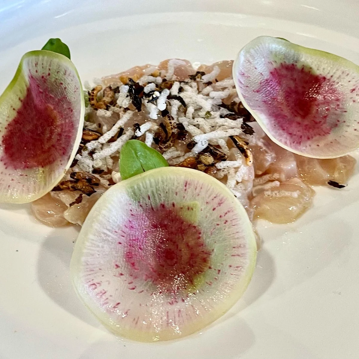 Kingfish, Nautica Dining