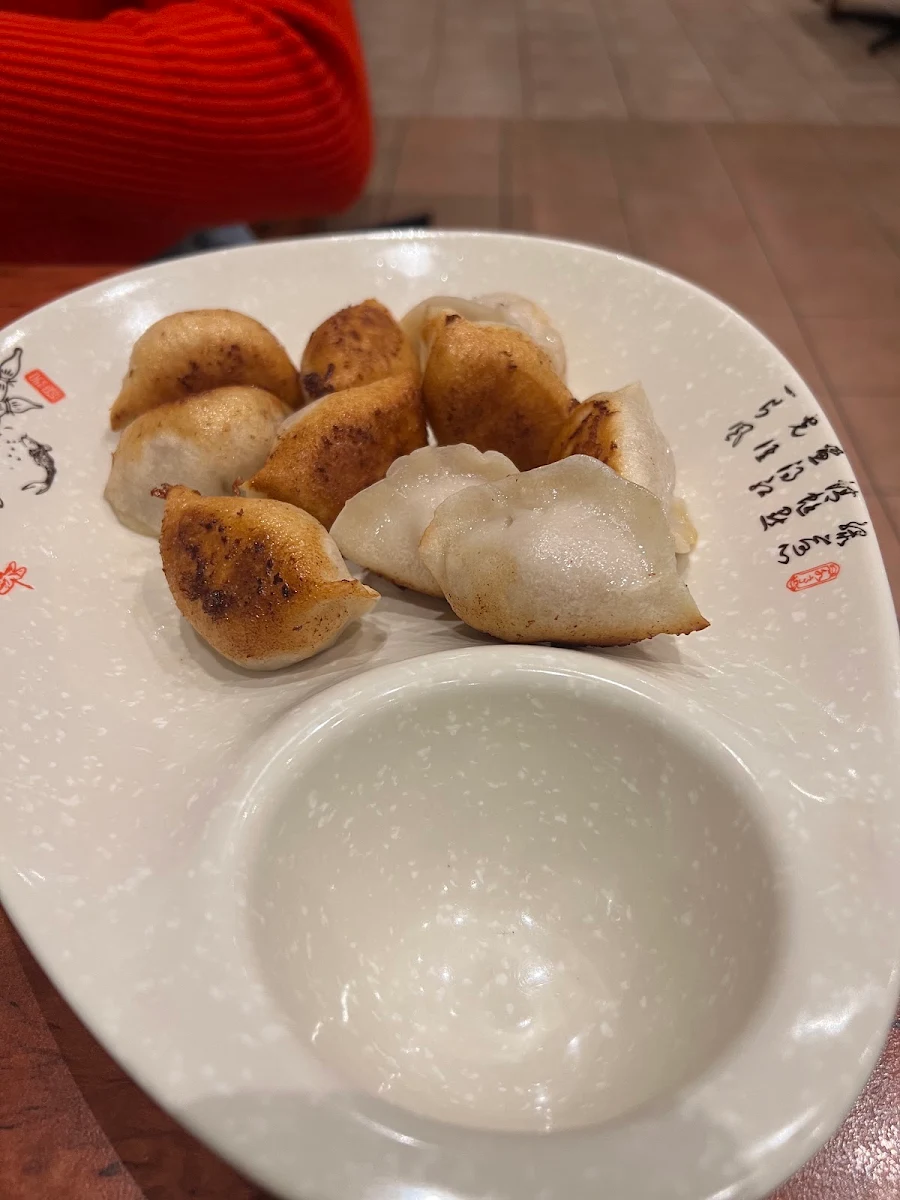 Pan Fried Dumplings