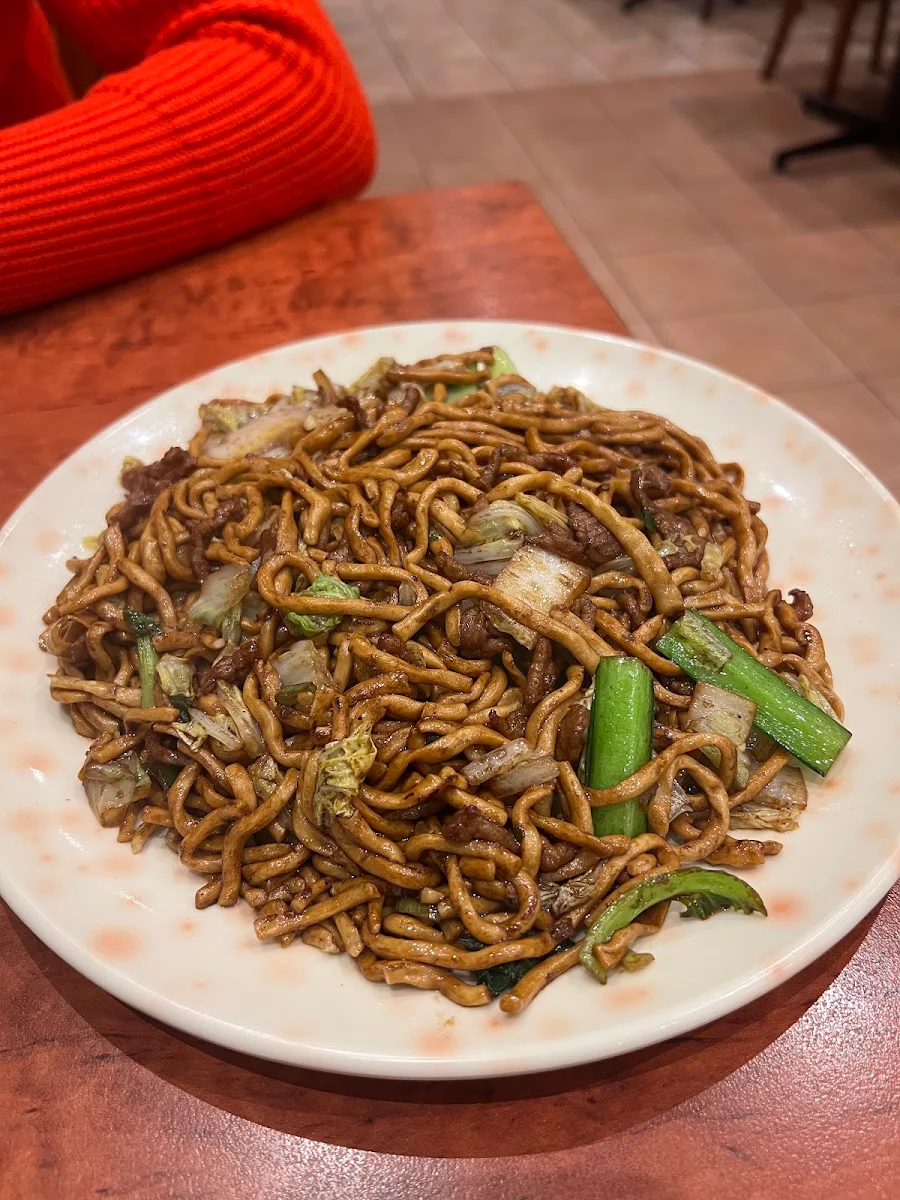 Shanghai Fried Noodle