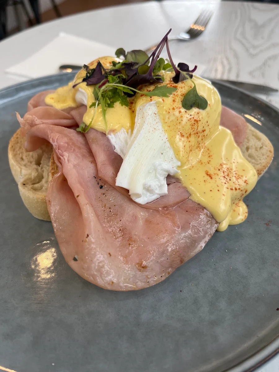 Basic Benny, Revival Cafe Adelaide