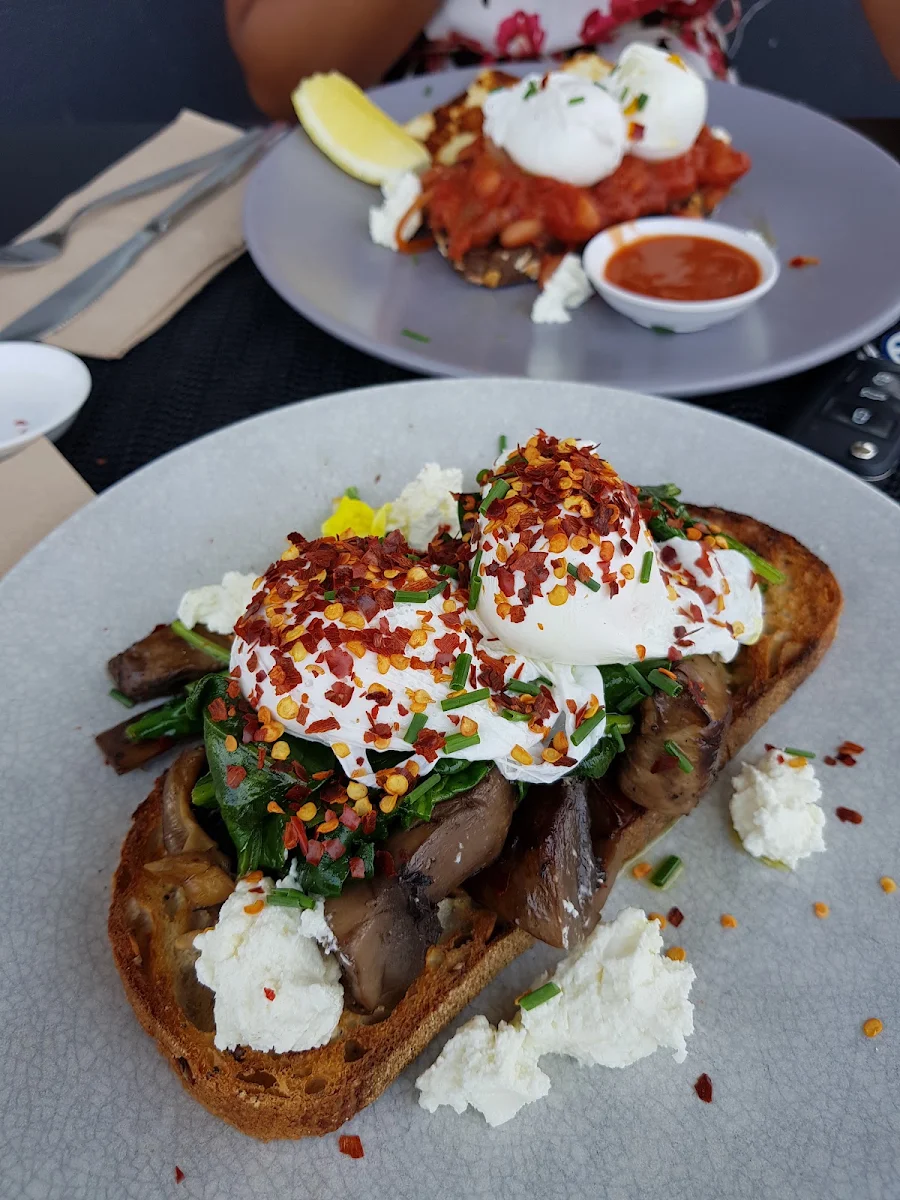 Field Mushrooms w Goats Cheese Spinach Poached Eggs & Sourdough