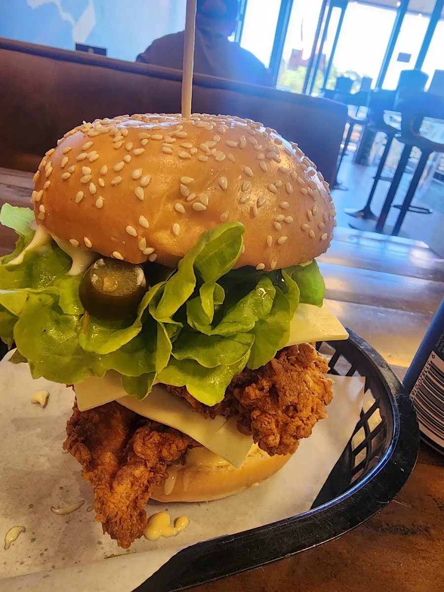 Chicken Burger with Mushroom Swiss Burger