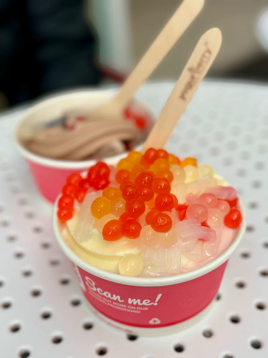 Mango Strawberry Plain Yoghurt Yogurberry