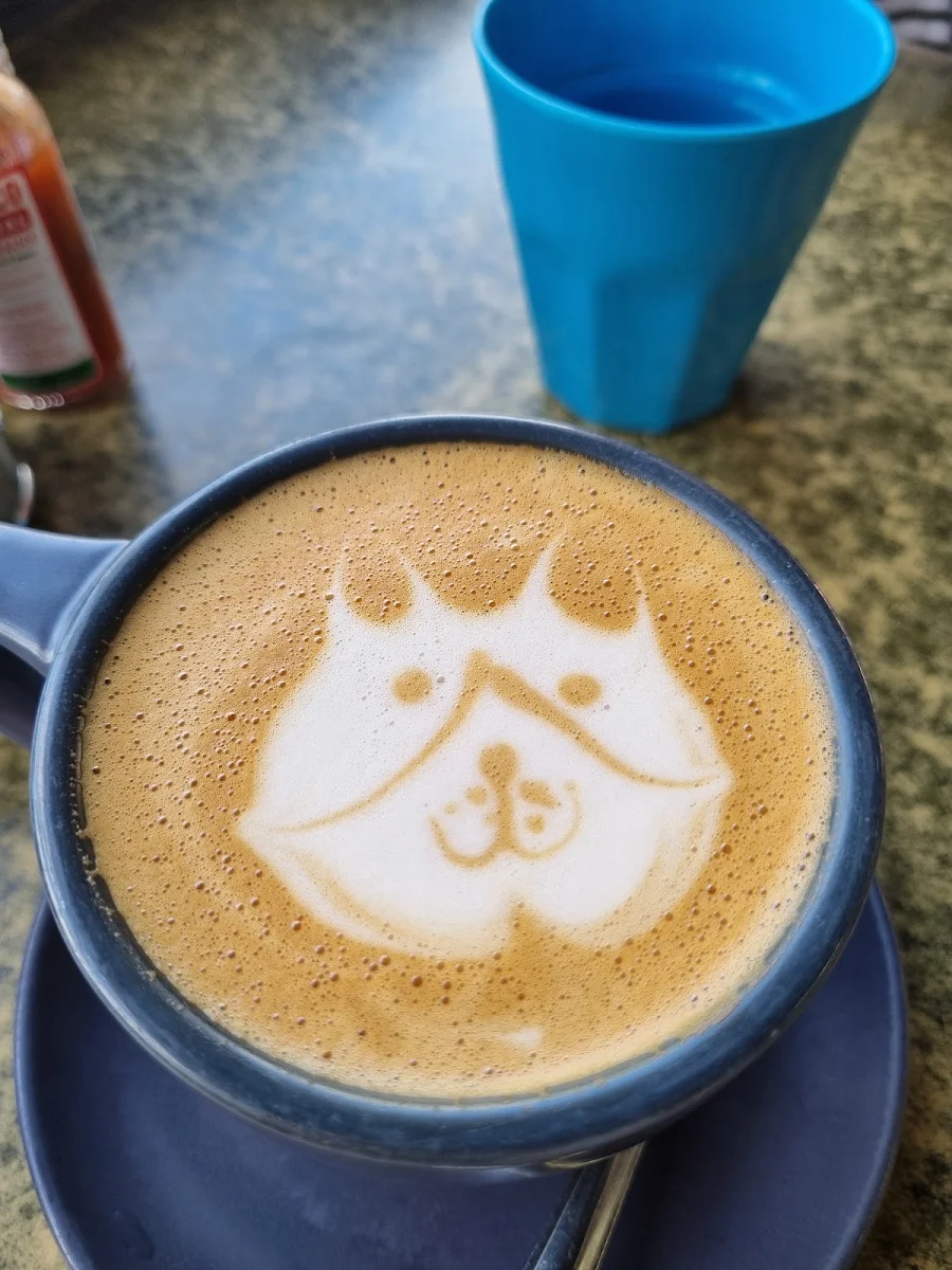 Highlights, 8 knots Cafe
