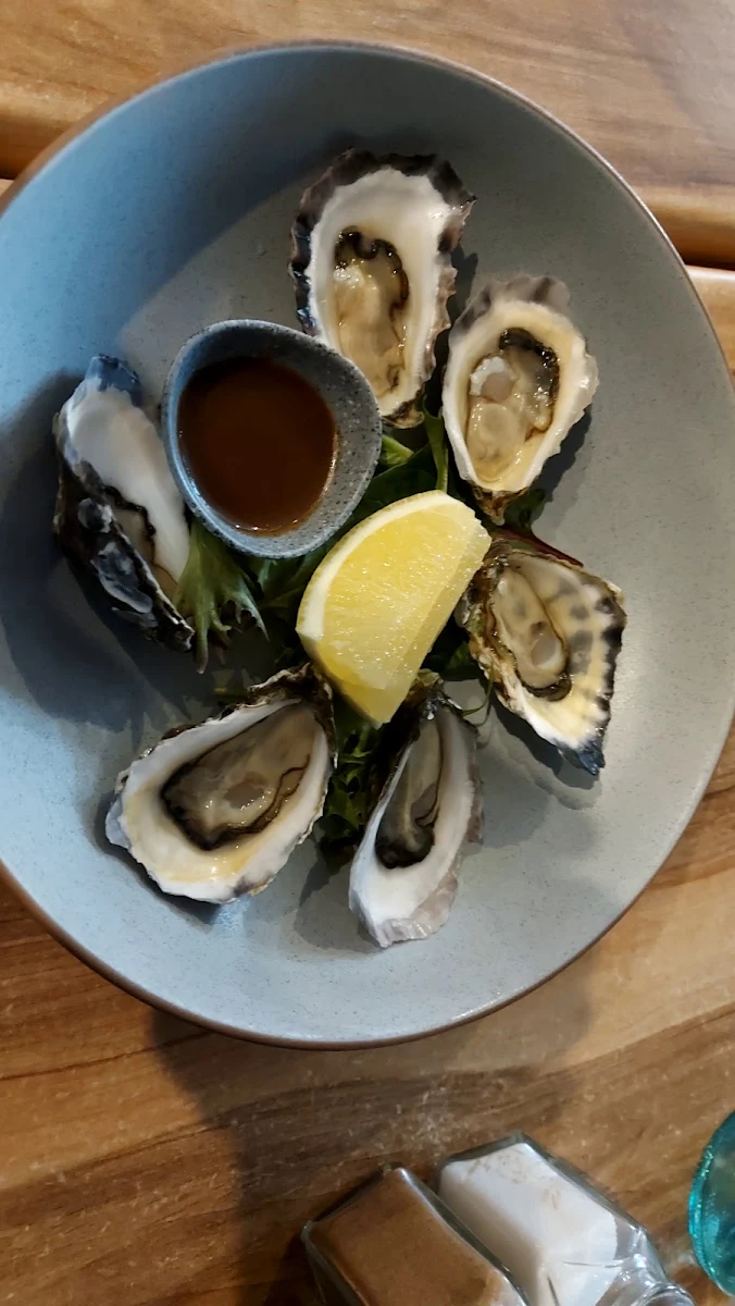 Oysters