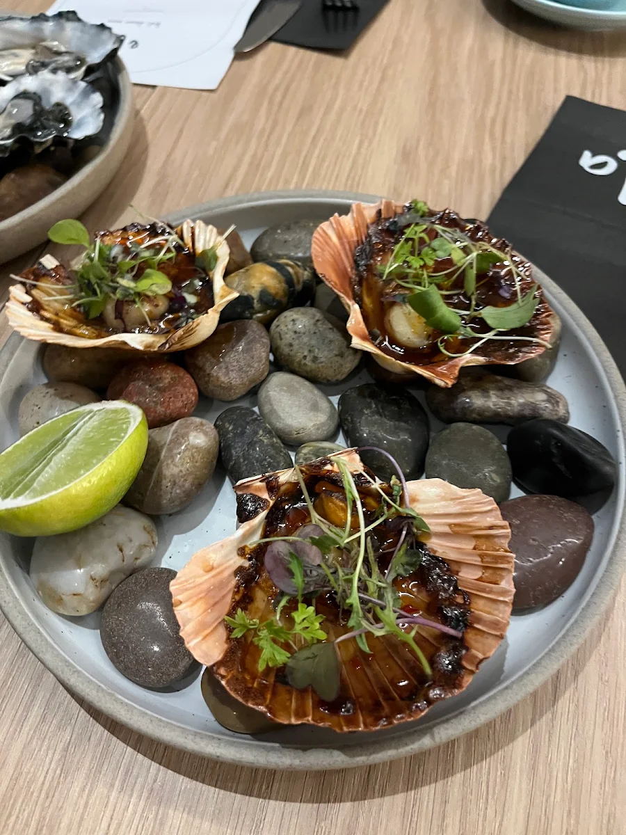 Scallops, ela at Hotel Alba