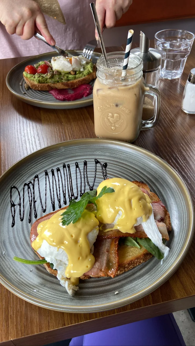 Poached Eggs on Toast with Avocado