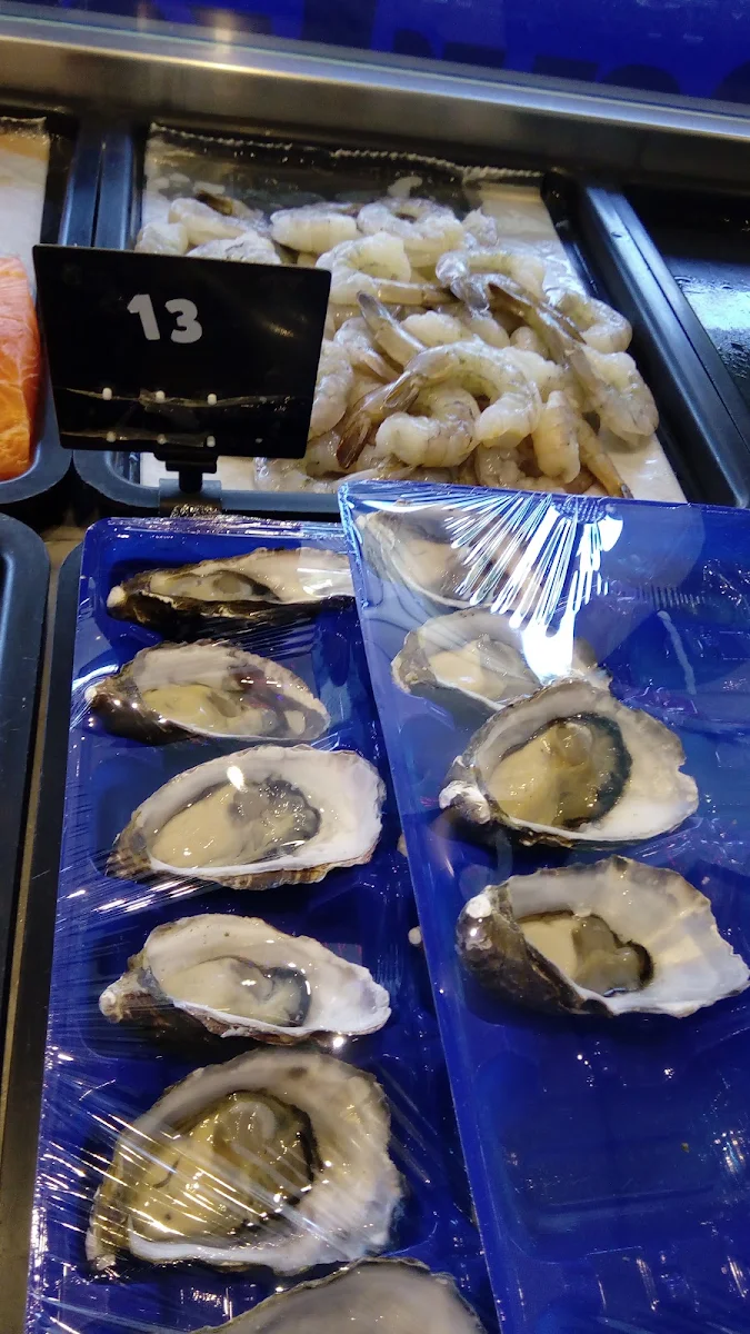 Oysters