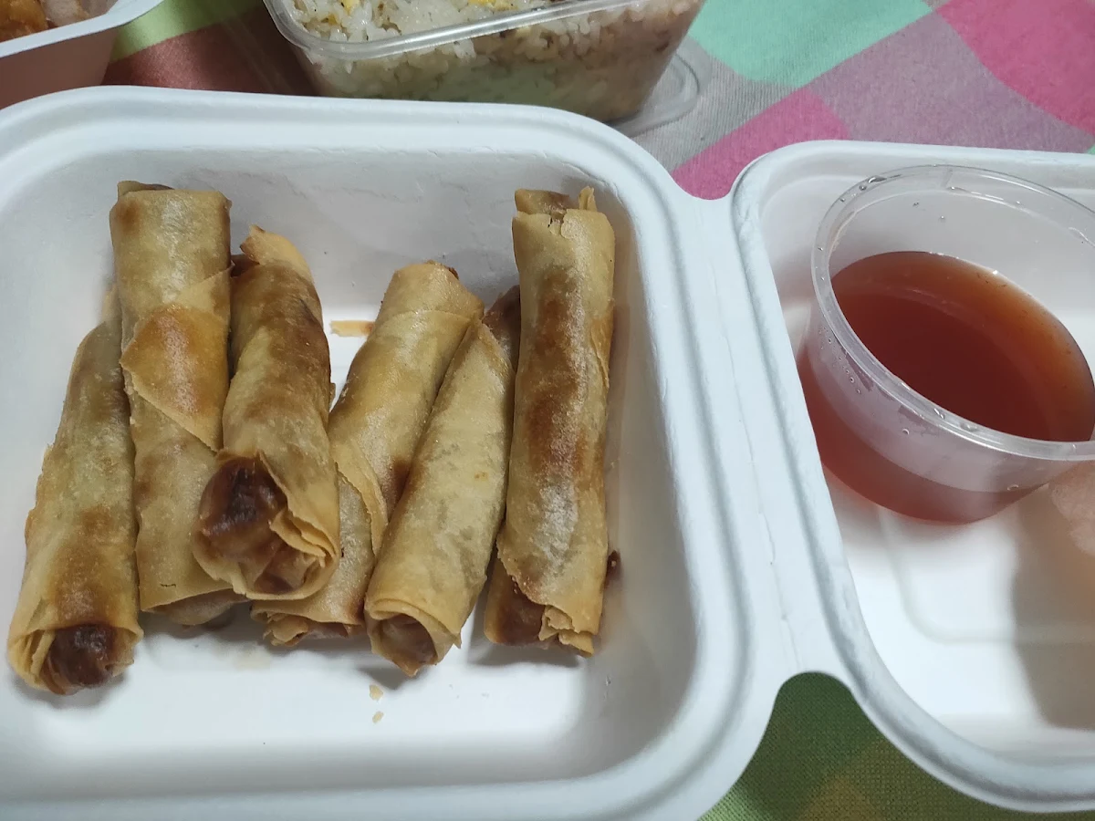 Vegetarian Spring Rolls