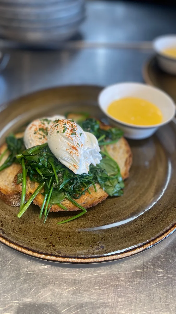 Highlights, Augie's Place - Dog Friendly Cafe & Licenced Bar