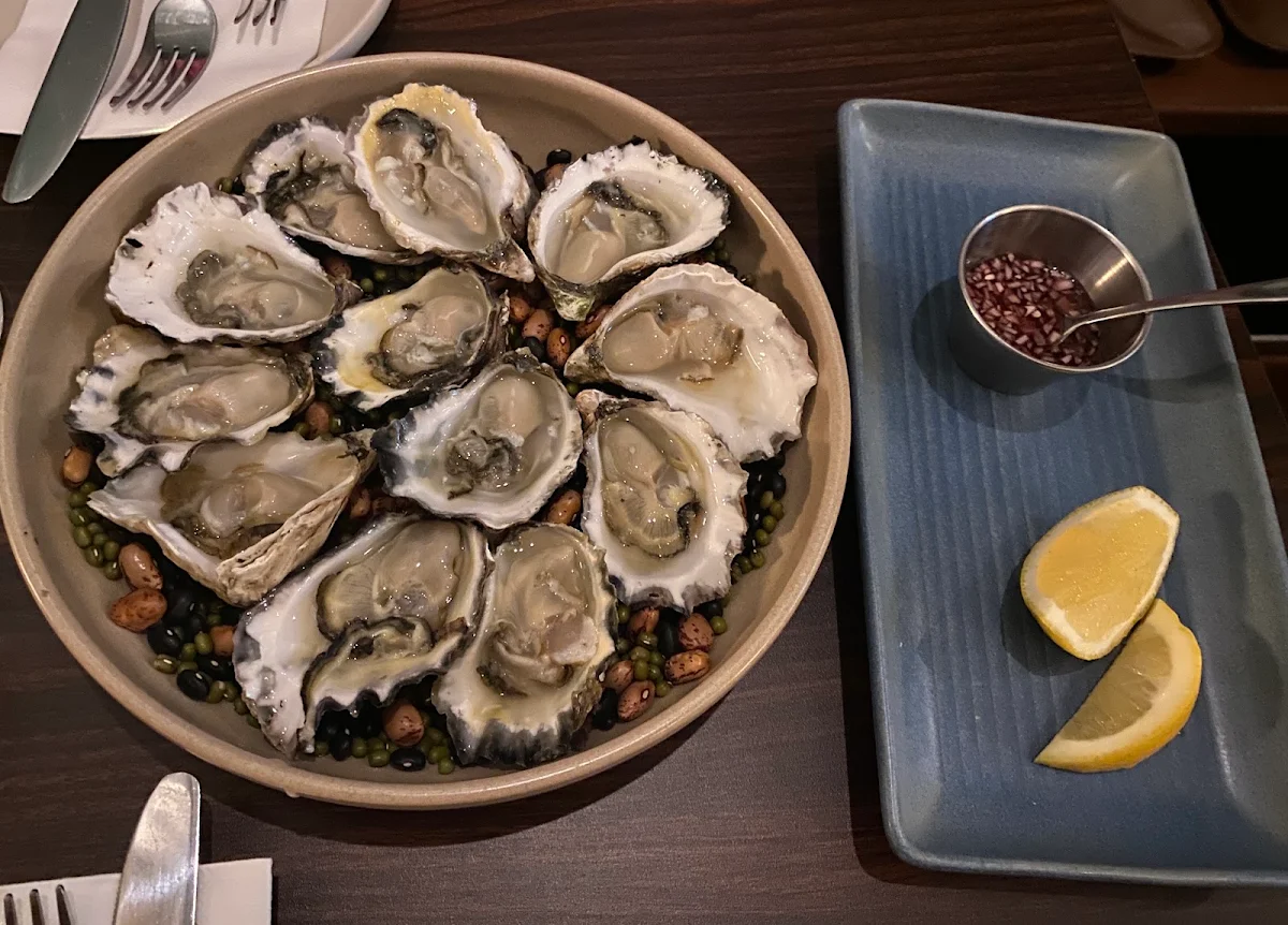 Fresh Oysters