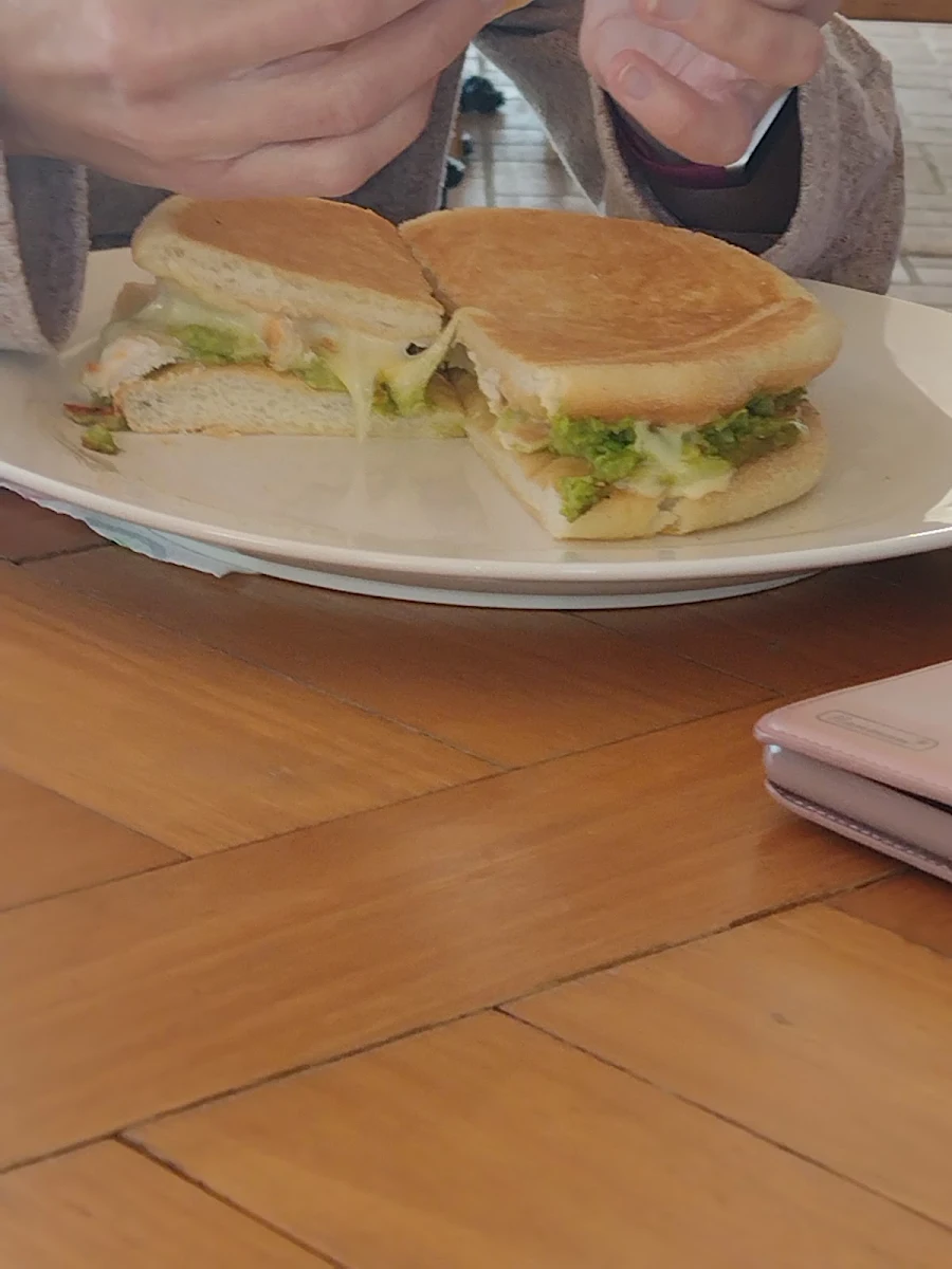 Chicken Avocado Toastie