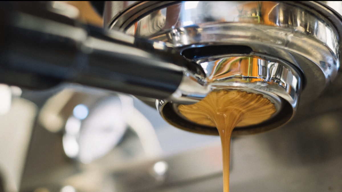 Highlights, Winding Creek Espresso Bar