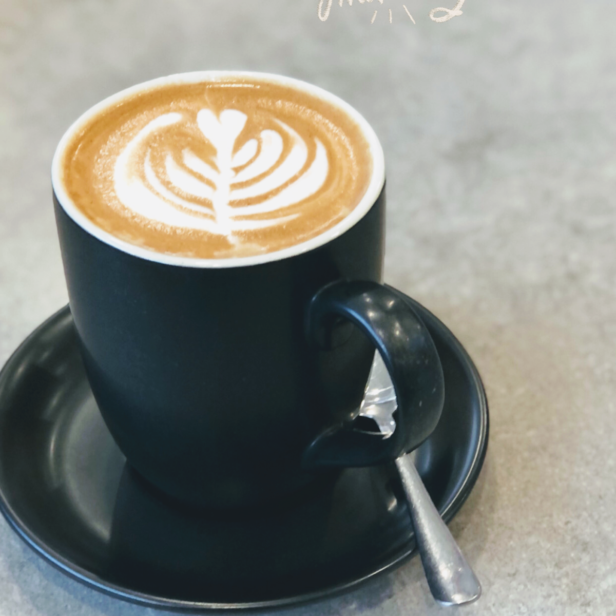 Highlights, Winding Creek Espresso Bar