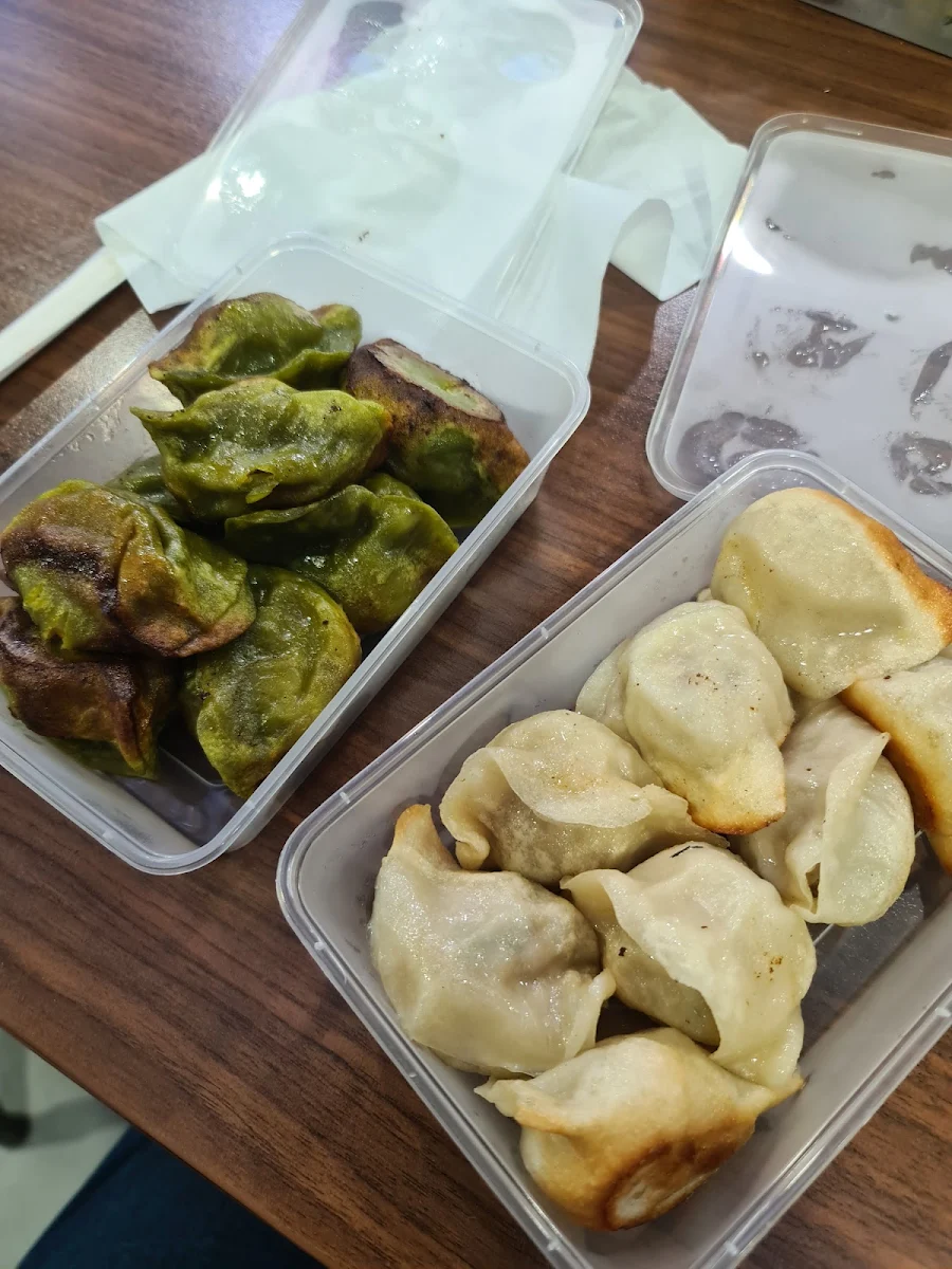 Chicken Dumplings