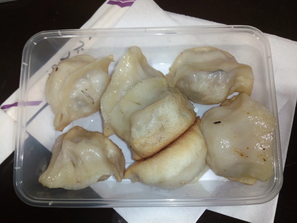 Fried Pork and Beef Dumplings