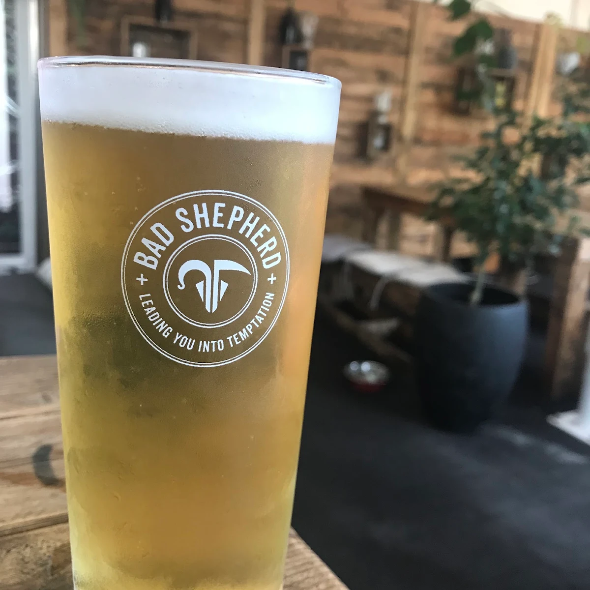Highlights, Hop Garden