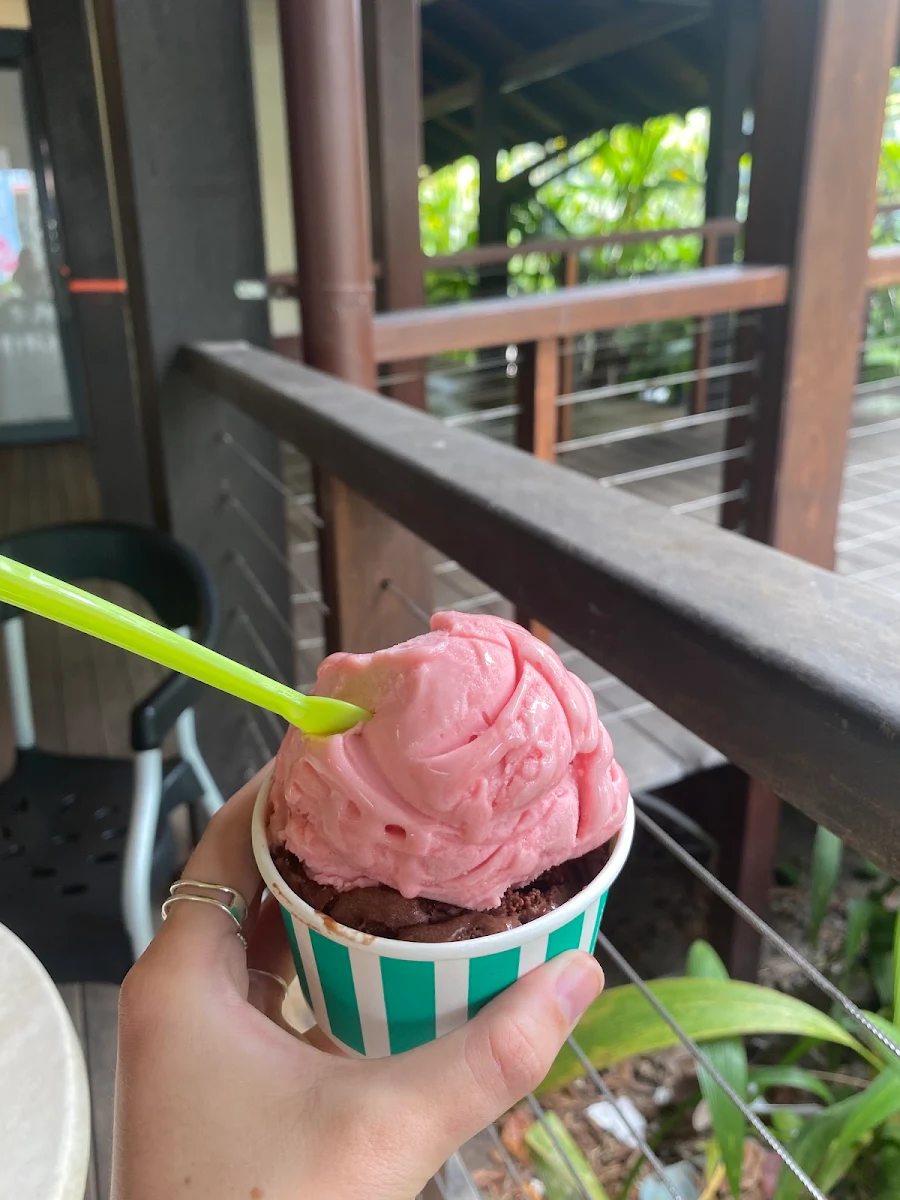 Highlights, Shakes Ice Cream Bar Port Douglas
