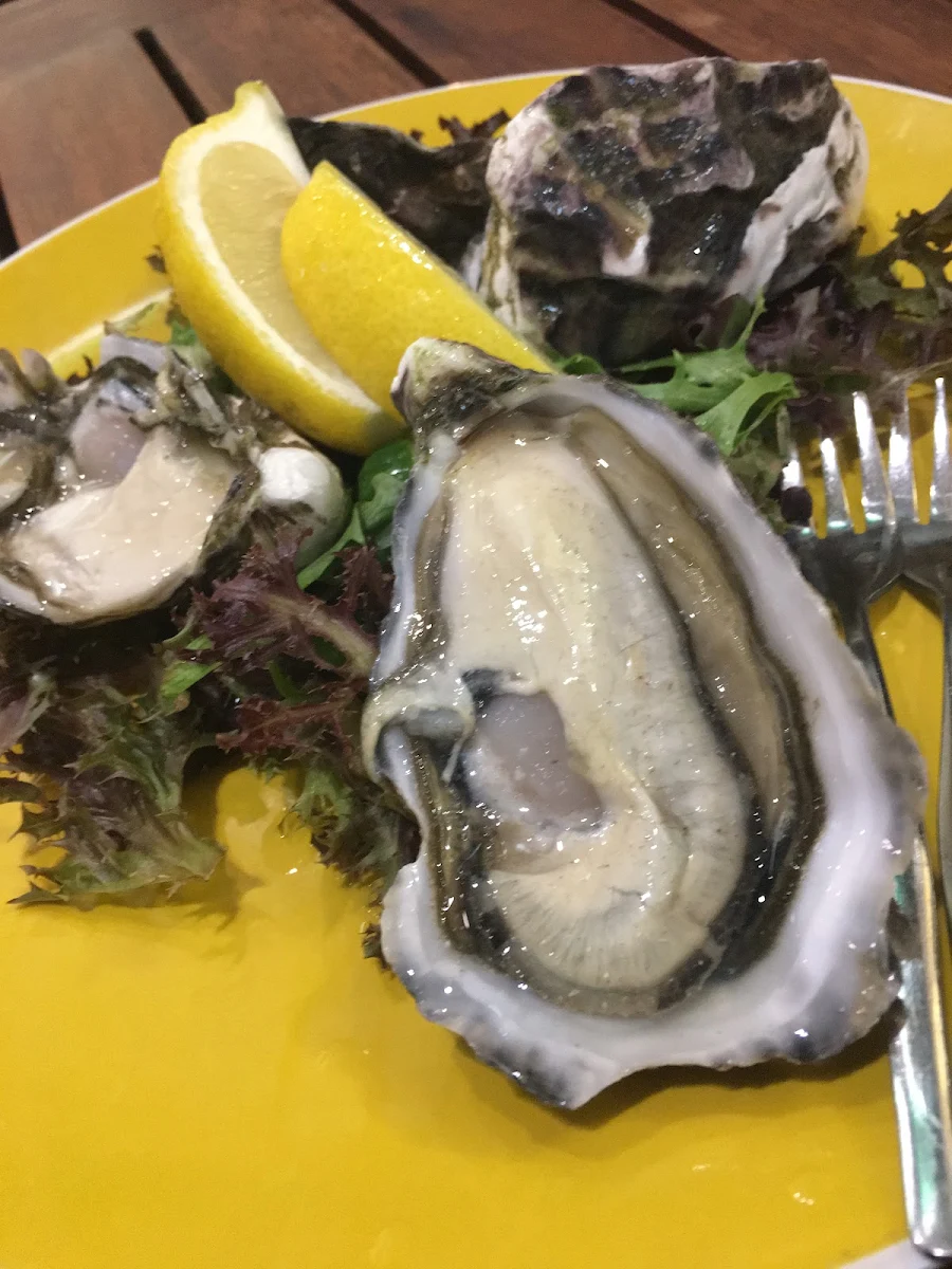 Oysters, The Murchison Tavern