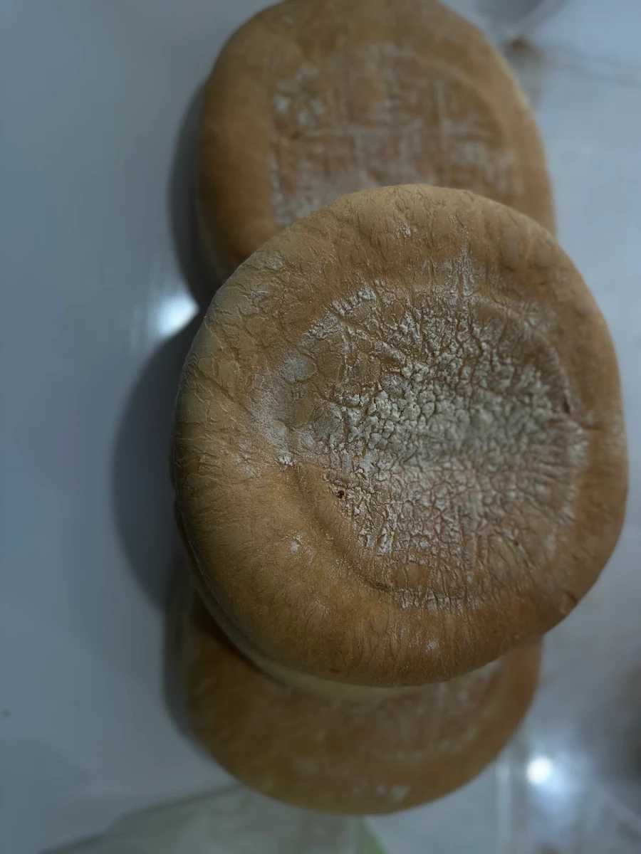 Highlights, Burek On Sunshine Ave