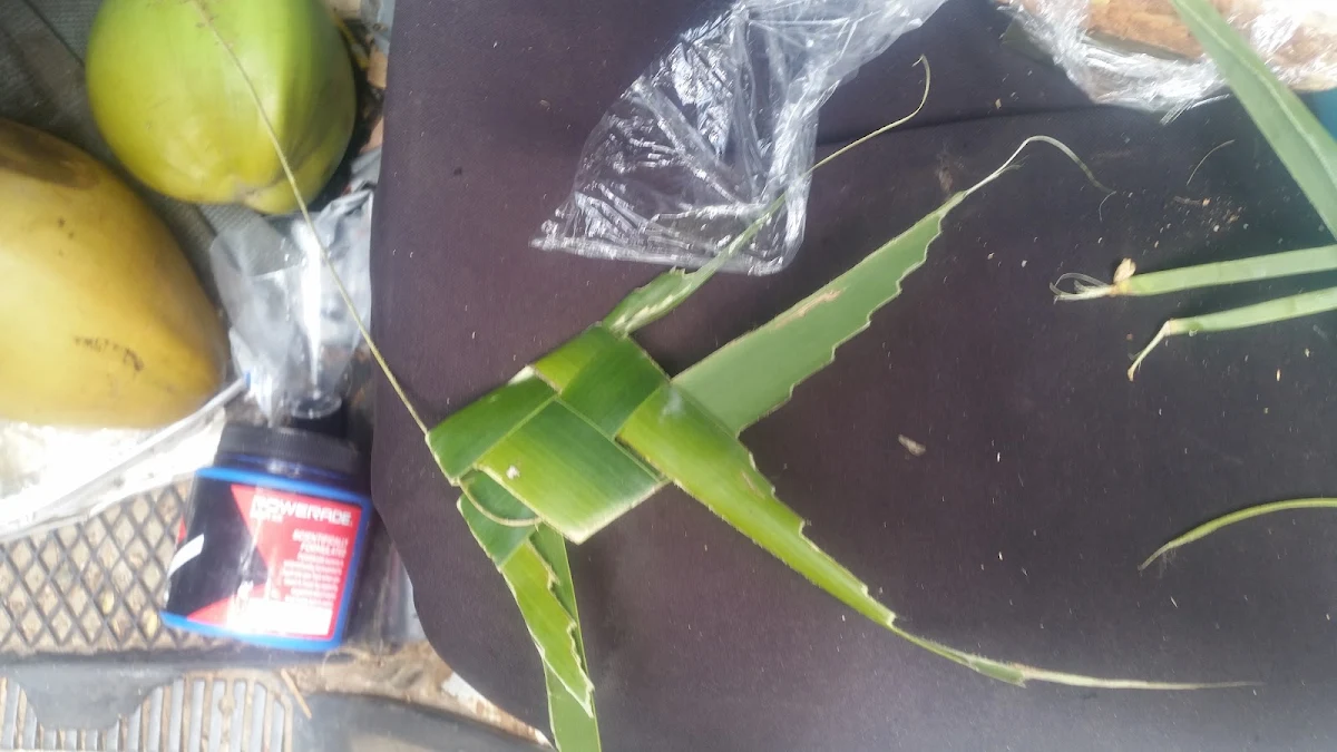 Palm Tree Leaf Fish, Marlin Bar