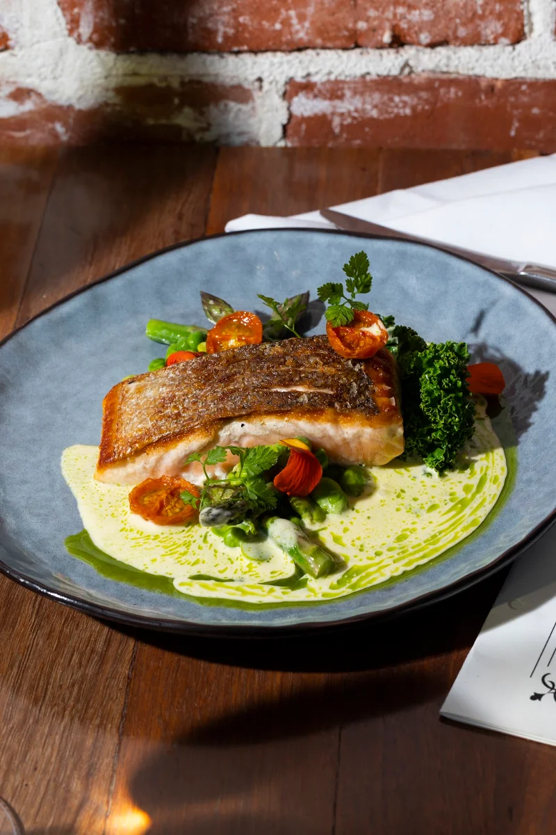 Salmon