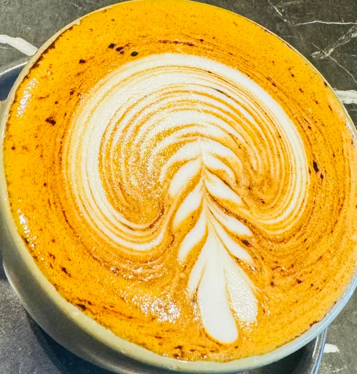 Highlights, Cafe LeLunar Brookvale